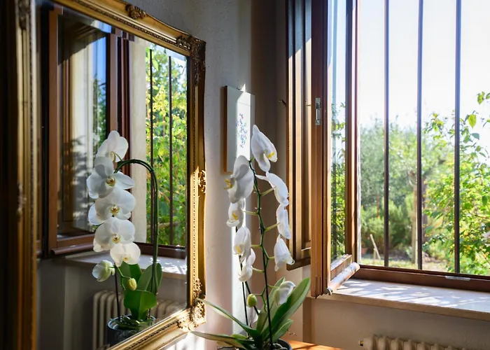 Tuscany - Casa Via Spagni 44 *